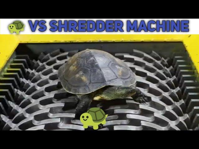  vs shredder machine #shorts #amazing #shredder
