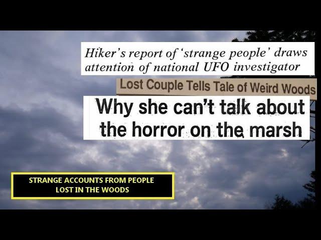 “Strange Accounts From People Lost In The Woods” | Four Paranormal Stories