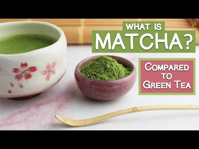 What is Matcha Green Tea? | Matcha Benefits and a Comparison to Green Tea & Coffee