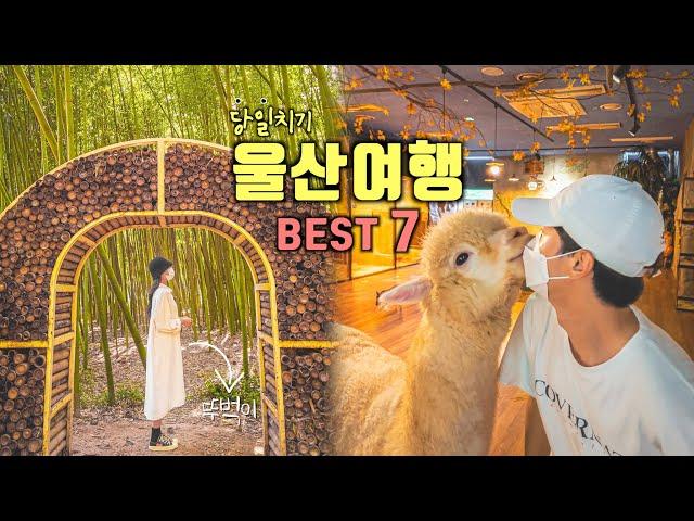 Recommended travel destinations in KoreaUlsan Travel Guide‼️Korea Travel Vlog