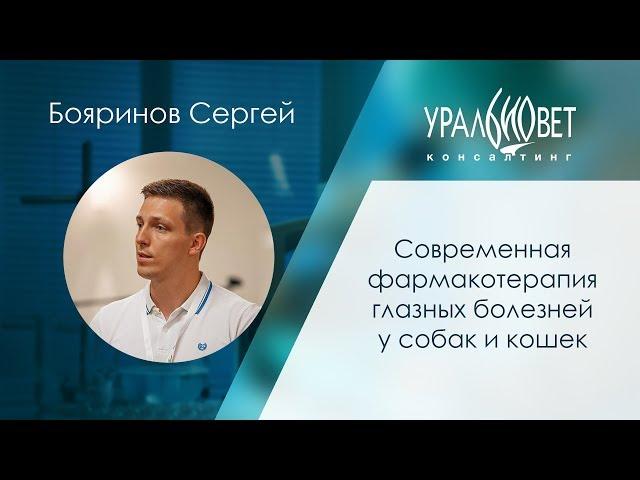 Современная фармакотерапия глазных болезней у собак и кошек. Бояринов Сергей #убвк_офтальмология