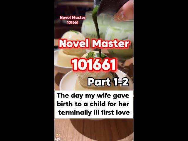 The day my wife gave birth to a child for her terminally ill first love, (101661 NovelMaster)