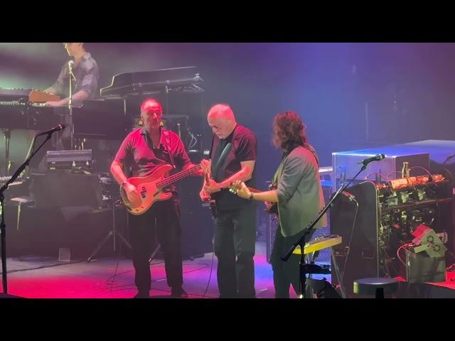 David Gilmour - Fat Old Sun at The Royal Albert Hall 14th October 2024