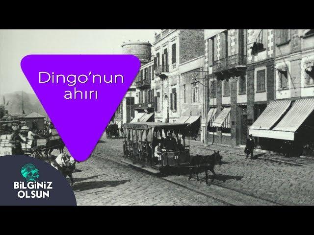 Dingo'nun Ahırı Ne Demektir?