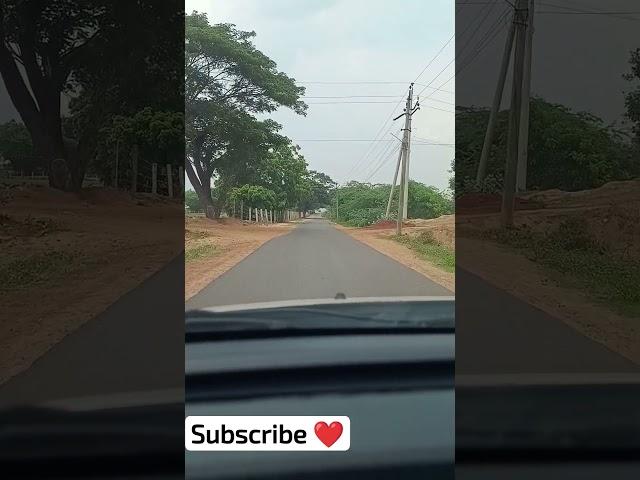 long drive #subscribe #plants #viral #trending #cats #new #drive#cars@sohailkarishma