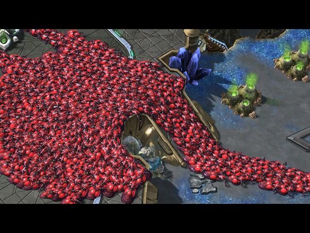 Rogue's new StarCraft 2 strategy can physically break the game