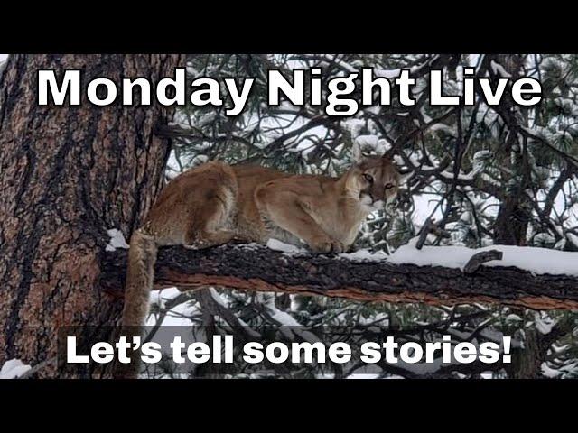 Might just be us Monday night live everyone welcome