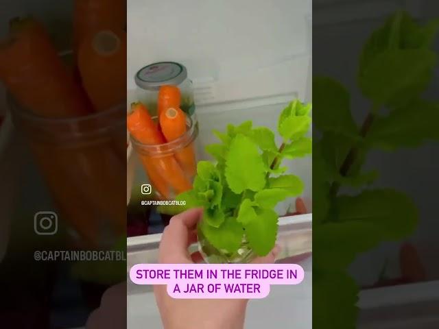 How to keep your vegetables and herbs fresh longer