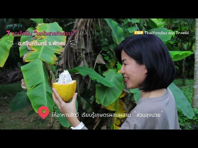 Travel to Phatthalung part 2