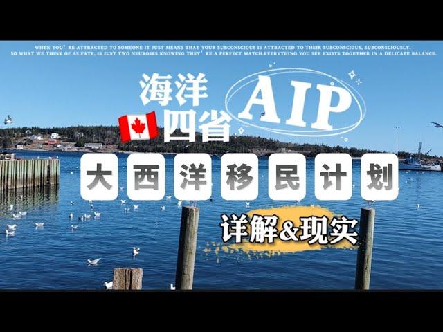 052 加拿大海洋四省_AIP大西洋移民计划，详解&你不知道的现实情况！Atlantic Immigration Program.