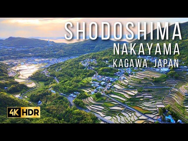 【4K HDR】Shodoshima Nakayama Kagawa Japan | Beautiful Nature with Calming Music | 小豆島中山千枚田・初夏