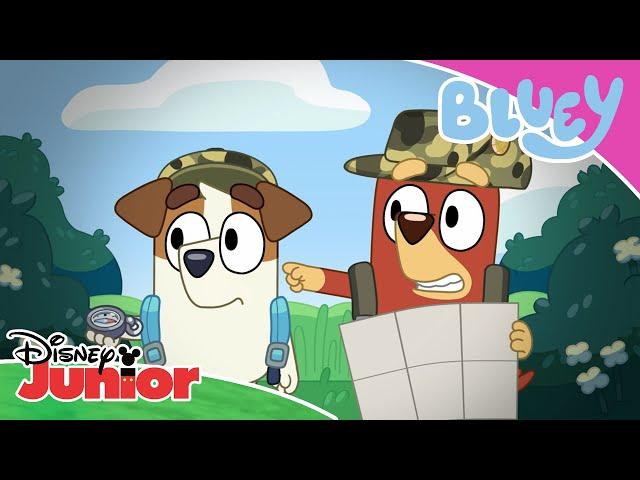 Follow the Instructions | Bluey  | Disney Junior MENA