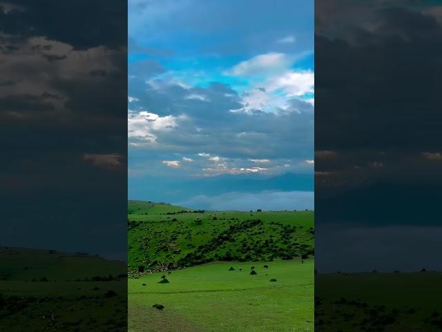  Journey into Iran’s Green Paradise – The Magic of the North