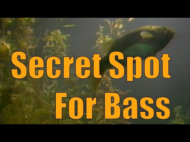 In-Fisherman Classics: Finding Summer Bass Secret Spots