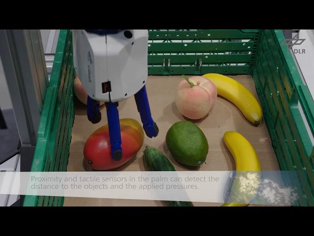 The DLR CLASH hand - a soft gripper for commercial food handling