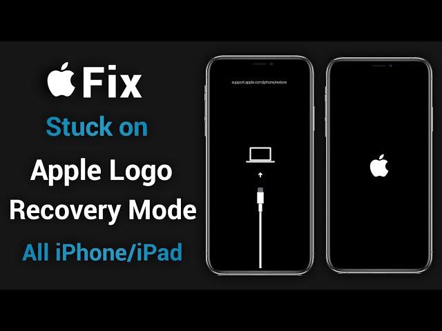 2024 Best iOS System Repair - Fix All iOS Problems without Jailbreak | Tenorshare ReiBoot