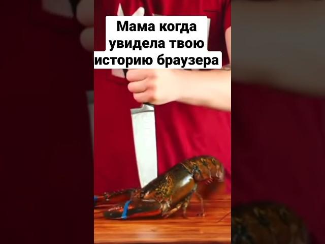 мама когда увидела твою историю браузера
