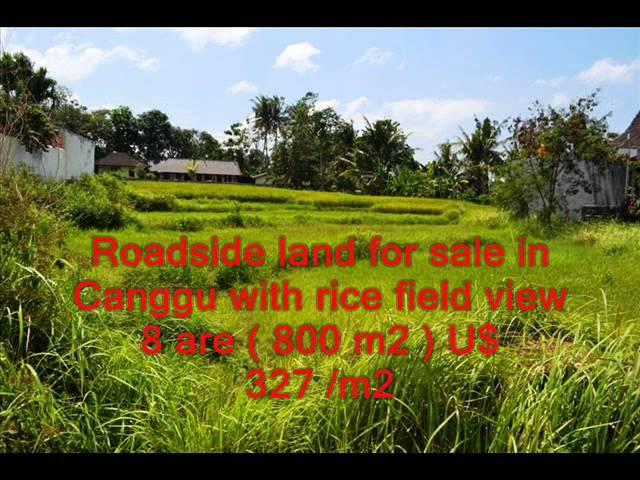 TJCG053   Roadside land for sale in Canggu with rice field view