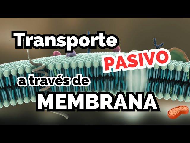 Transporte PASIVO a través de membrana ‍ Difusión simple, facilitada, ósmosis