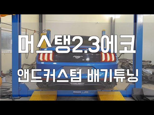 [Person_펄슨] 머스탱2 3에코 앤드커스텀배기튜닝