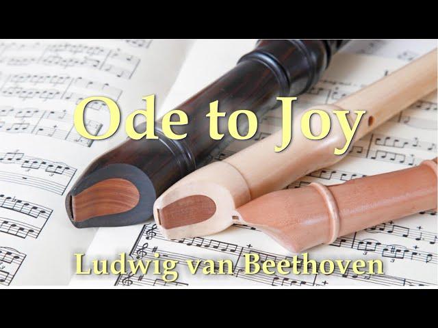 Ode to Joy Performance