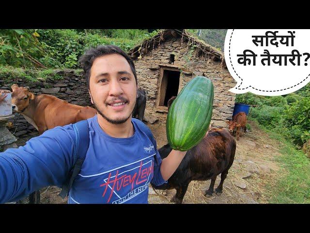 पहाड़ों में सर्दियों की तैयारी भी शुरू हो गई || Pahadi Lifestyle Vlog || Cool Pahadi