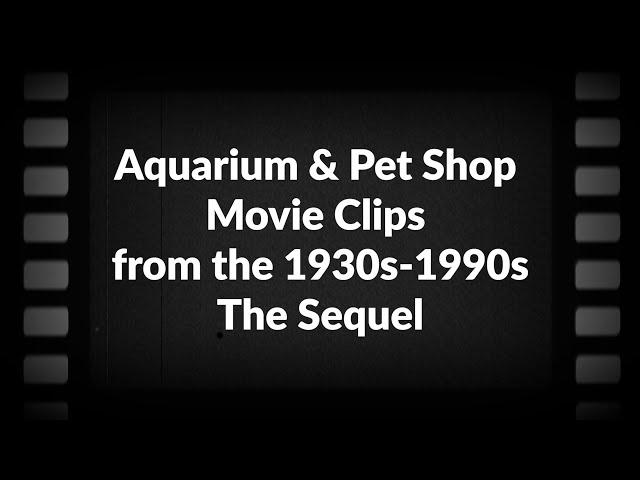 Aquarium & Pet Shop Movie Clips from the 1930s-1990s: The Sequel