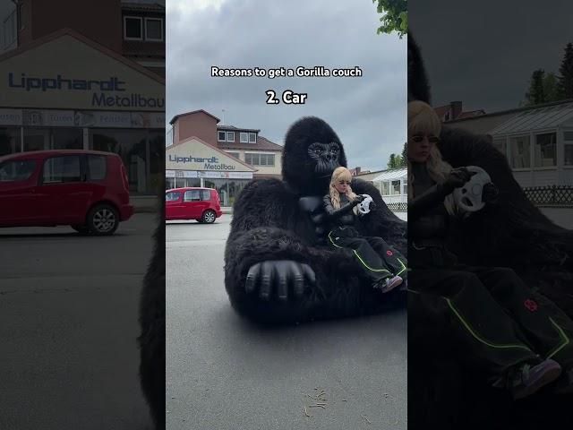 I hope these are convincing enough #funny #gorilla
