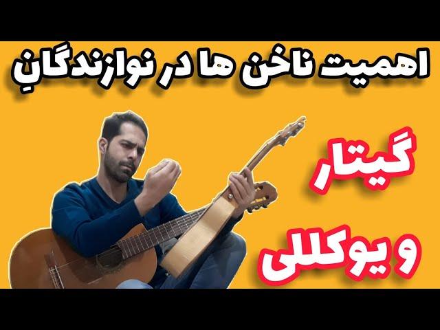 اهمیت ناخنها در نوازندگان گیتار و یوکللی - چگونه ملودی گرم و شفاف با گیتار یا یوکلله اجرا کنیم؟