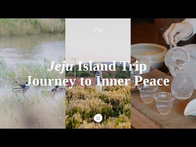 [ASMR Vlog] Jeju Island Travel Guide #2 | Walk around Jeju Boromwat, Cafe Hopping