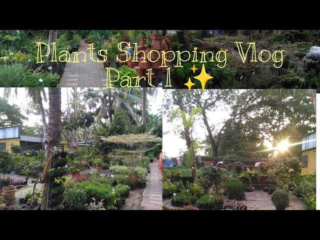 Plant's Shopping Vlog Part 1|Plants Nursery Visit|Sara's Garden 