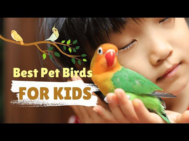 6 Best Pet Birds For Kids
