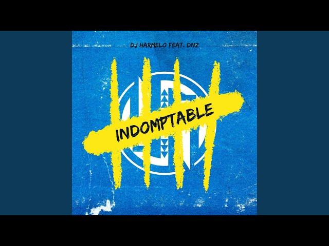 Indomptable (feat. Dnz)