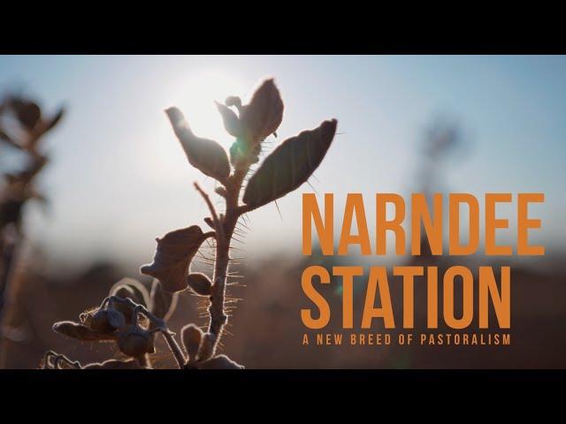 A new breed of Pastoralism - Narndee Station