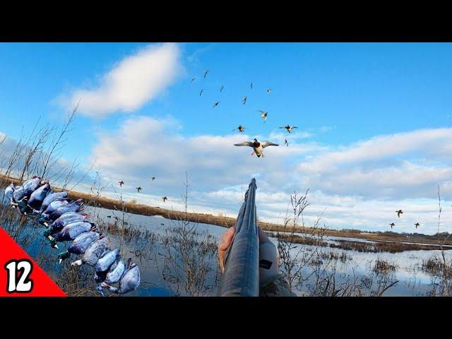 Afternoon Duck Hunt Decoying MALLARDS In Close (LIMITED OUT) | Duck Hunting 2025