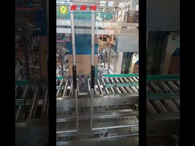 Automatic bag maker inserter