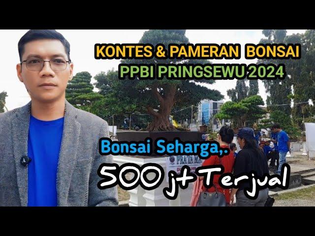 Kontes & Pameran Bonsai PPBI Pringsewu 2024@sewunews2070