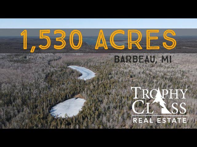 1,530 Acres - 16352 S Scenic Drive, Barbeau, MI - Trophy Class Real Estate