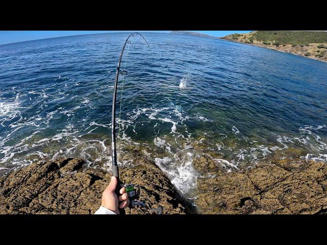 Rock Hopping NZ's Most Beautiful Coastline For BIG FISH