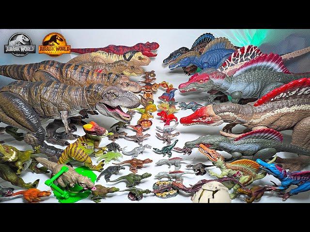 MEGA Spinosaurus VS T-Rex Toys Collection! Jurassic World Dinosaurs Toys Collection Battle