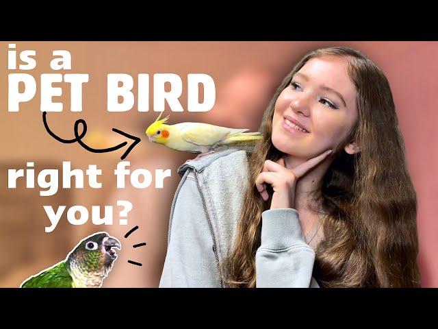 SHOULD YOU GET A PET BIRD?  | What you should know before bringing home a parrot!