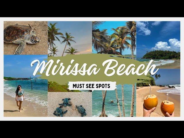 Mirissa Beach Sri Lanka  (Coconut Hill, Mandara Hotel, sea turtles & the best beaches)