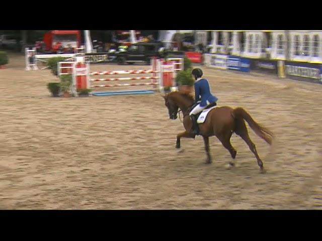 Comilfo Plus Z- Comme Il Faut x Balou Du Rouet- Remscheider Reitertage   2015