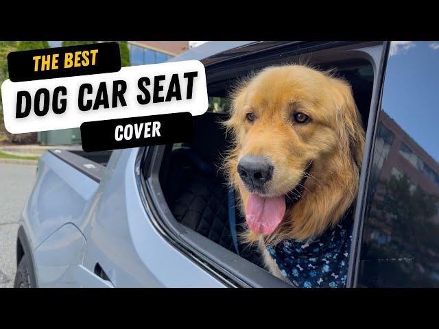 Is this the BEST Dog Car Seat Cover?