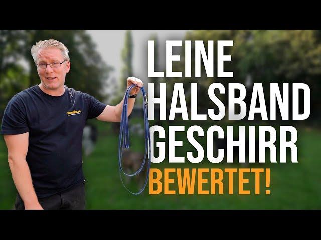 Das sind die BESTEN Halsbänder, Leinen und co.  Hundetrainer erklärt! -   TGH 436