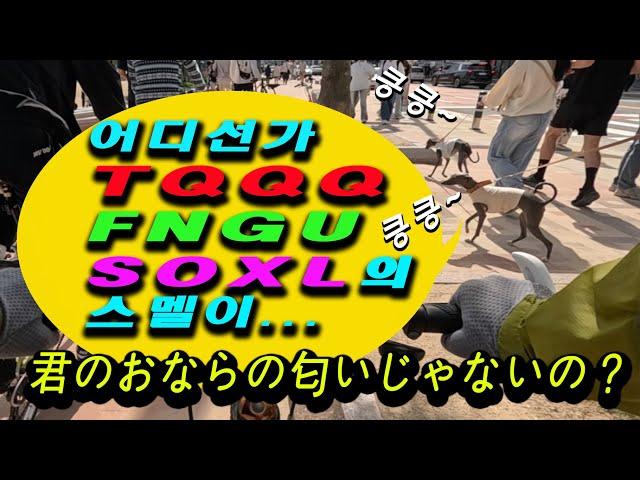 [슬기로운 미쿡주식] 당신의 미쿡주식 안녕하신가요? 광안리 자전거 투어