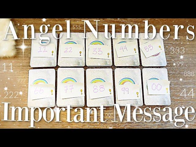 Angel Numbers & Their MESSAGES For You! (PICK A CARD)