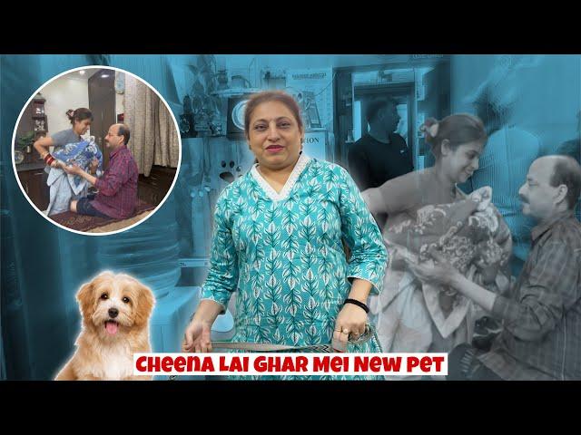 Cheena Lai Ghar Mei New pet (coco puchhi ki Bhen )