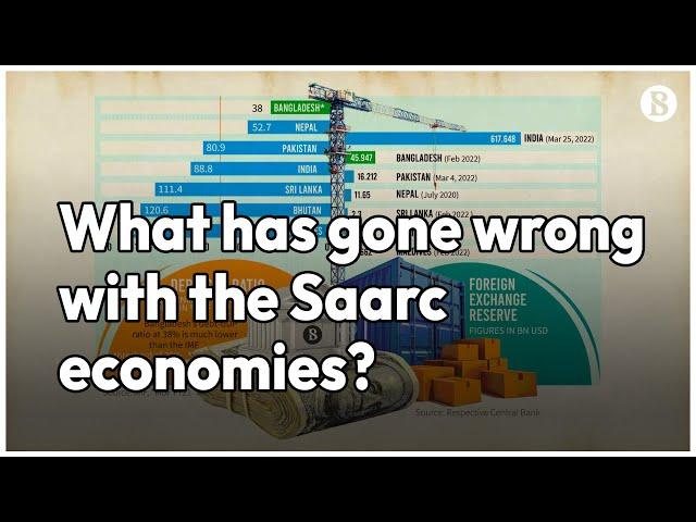 What has gone wrong with the Saarc economies?