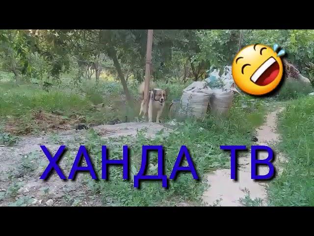 Приколи точики аз Ханда ТВ (кисми 4)